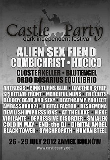 Castle Party Flyer